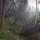 Image for article titled See If You Can Spot The Camouflaged Snipers In These Pictures
